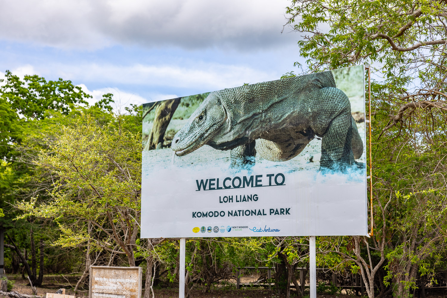 Uber Scuba Komodo Liveaboard Review