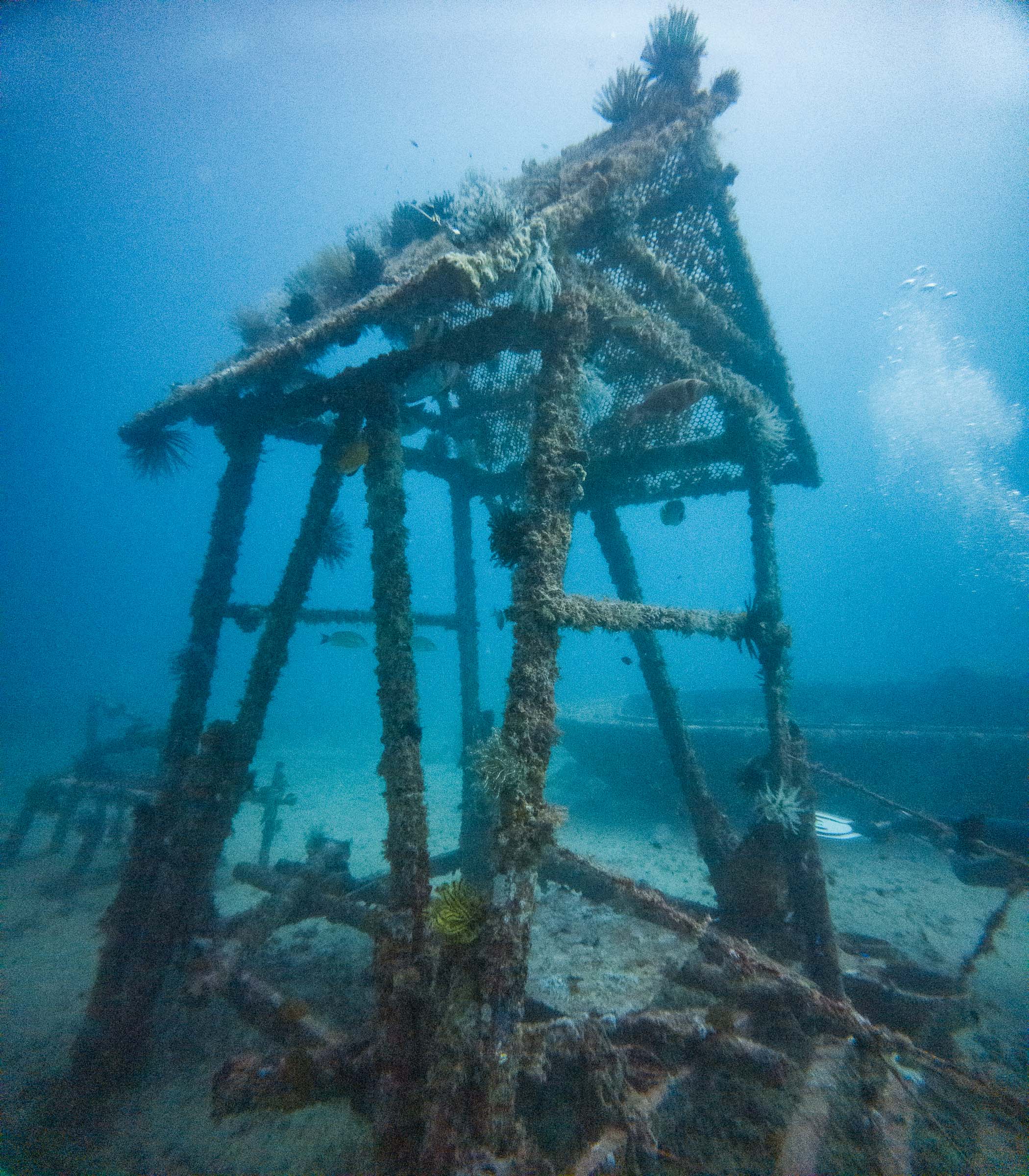 Seaventures Dive Rig House Reef