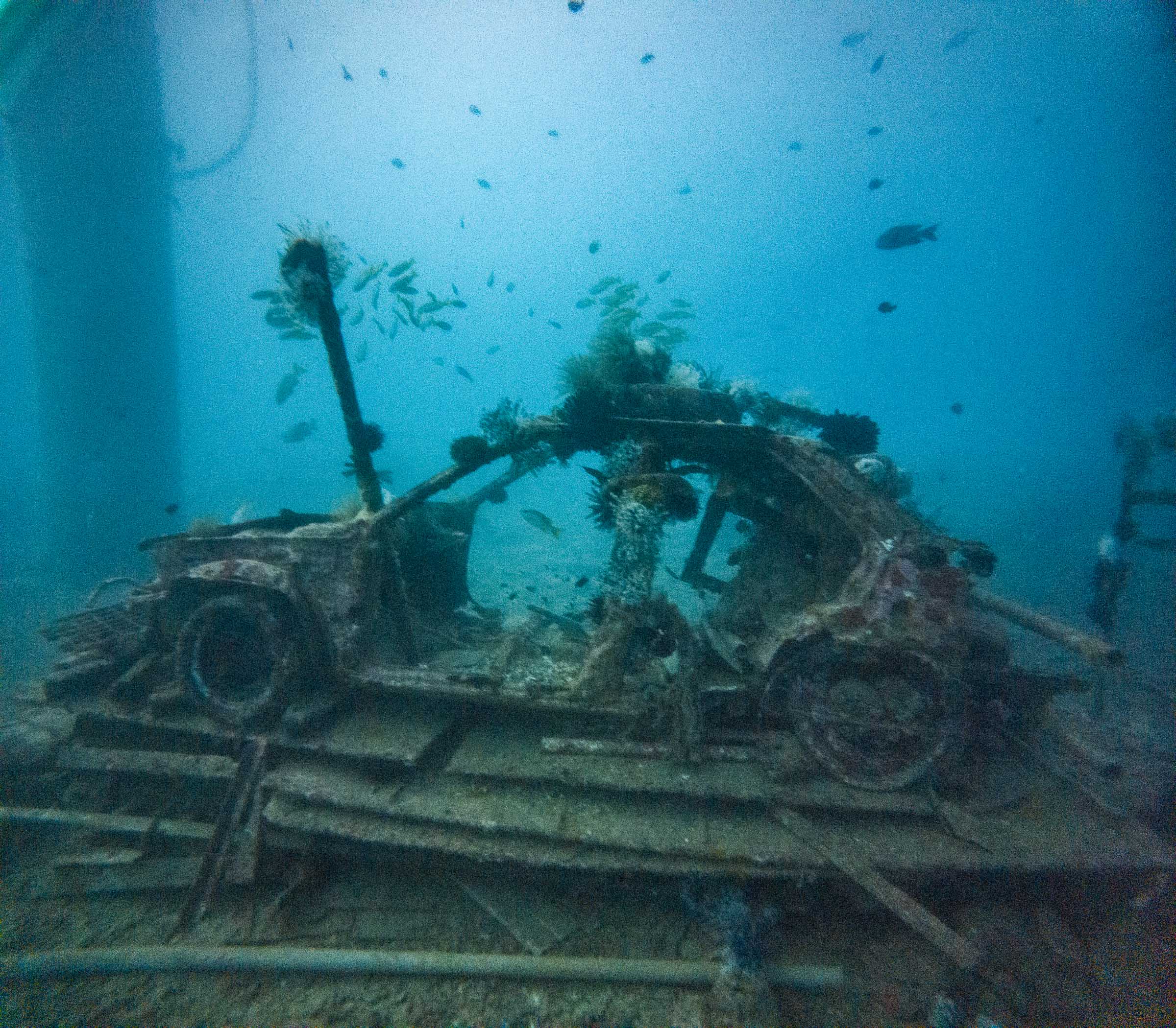 Seaventures Dive Rig House Reef