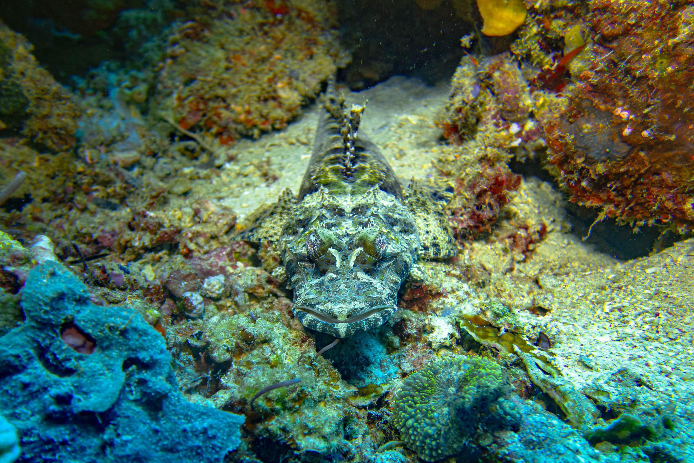 Scuba Diving Mabul and Kapalai Island