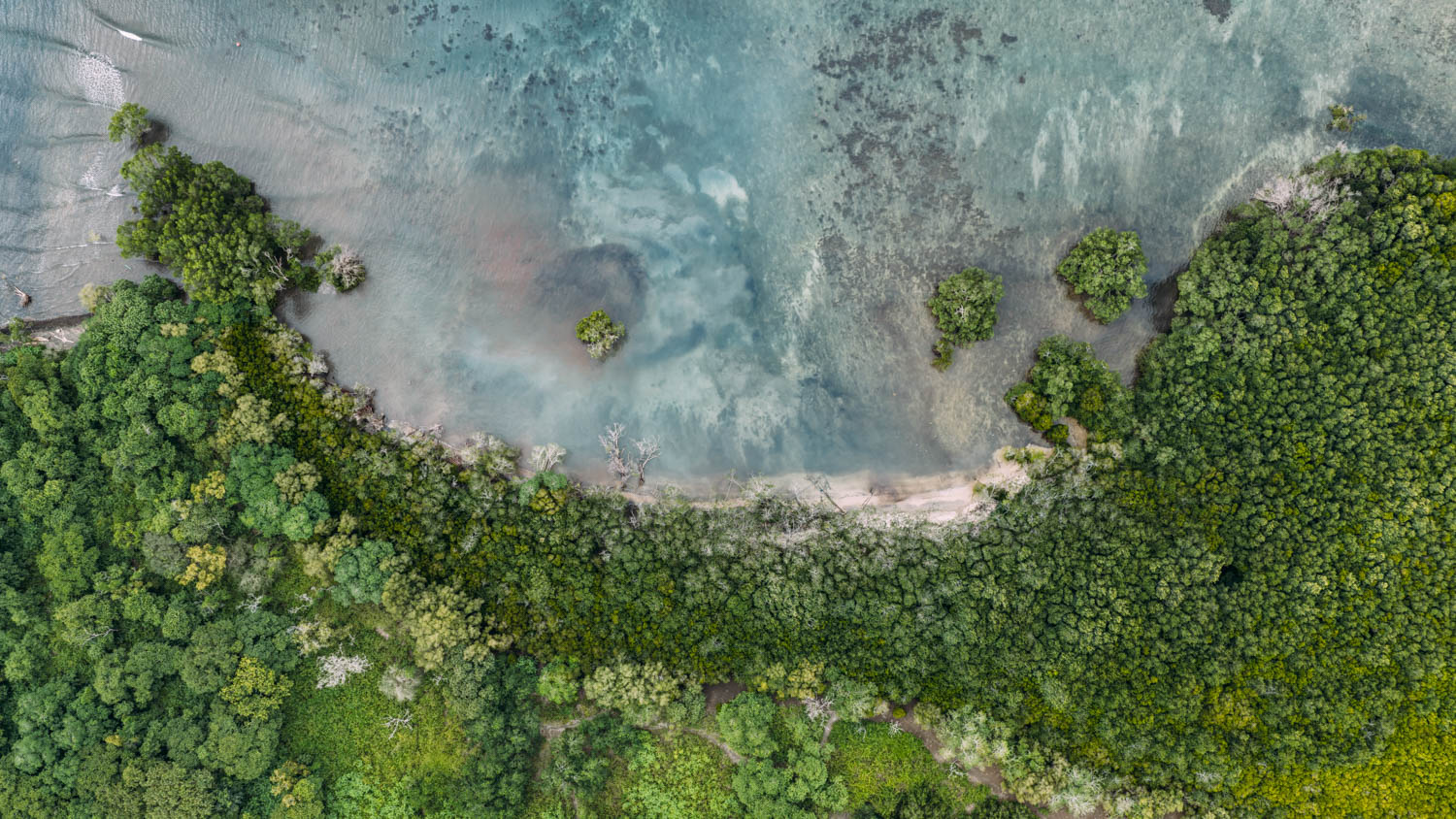 পশ্চিম বালি জাতীয় উদ্যান