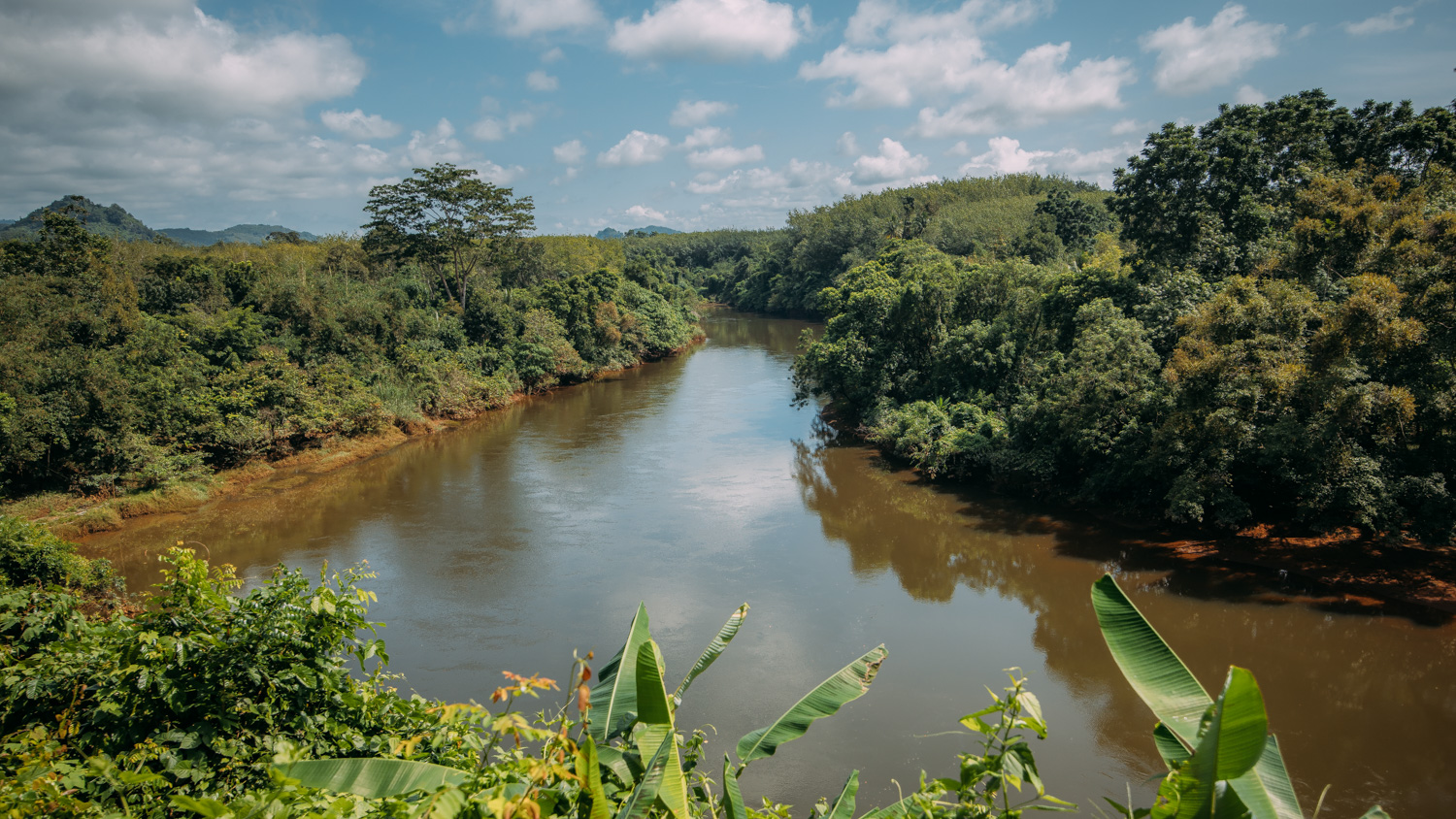 Jungle Trek Viewpoint