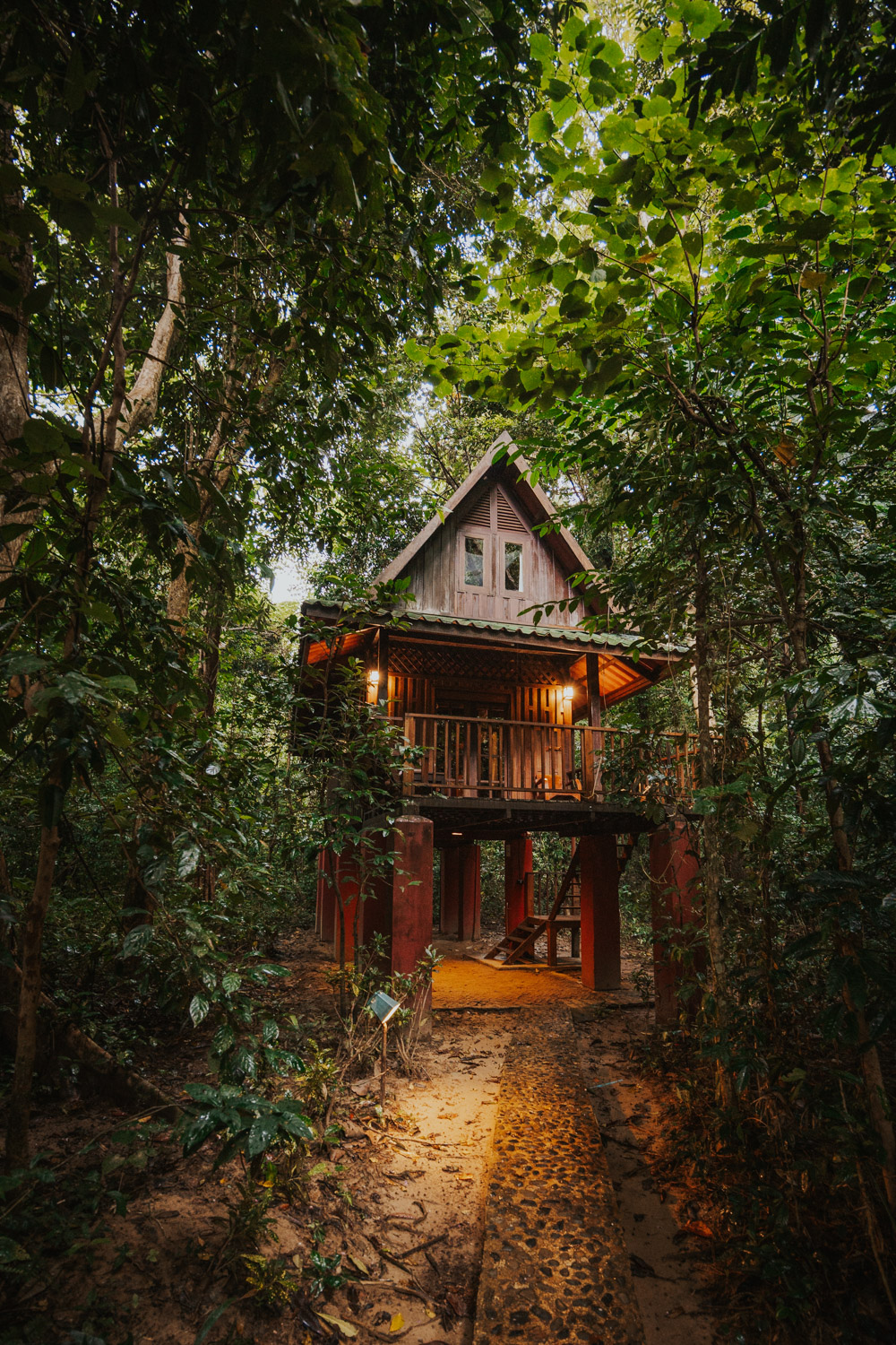 Our Jungle Camp - Khao Sok Thailand
