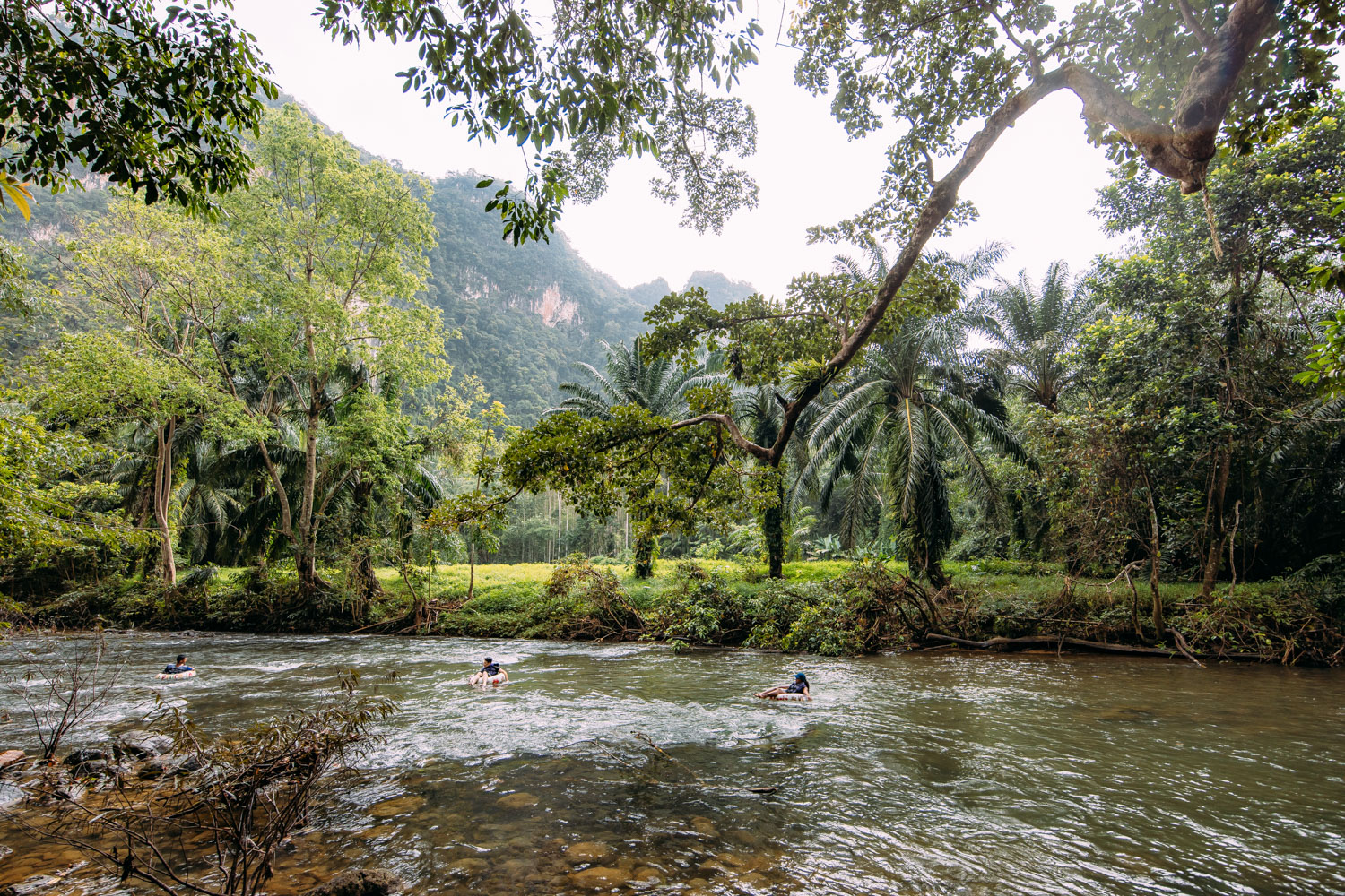 Our Jungle Camp - Khao Sok Thailand
