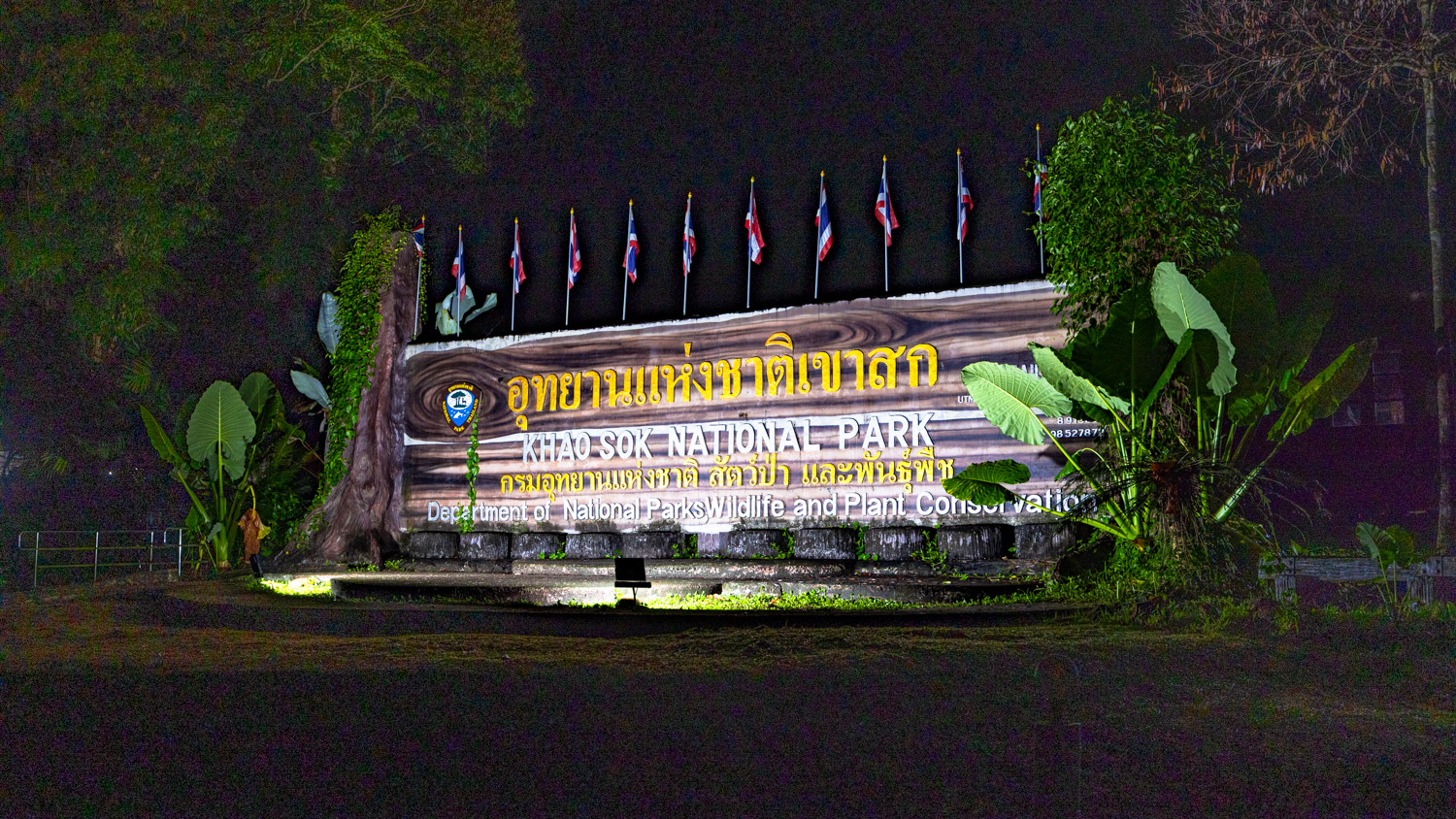 Night Safari Trek Khao Sok